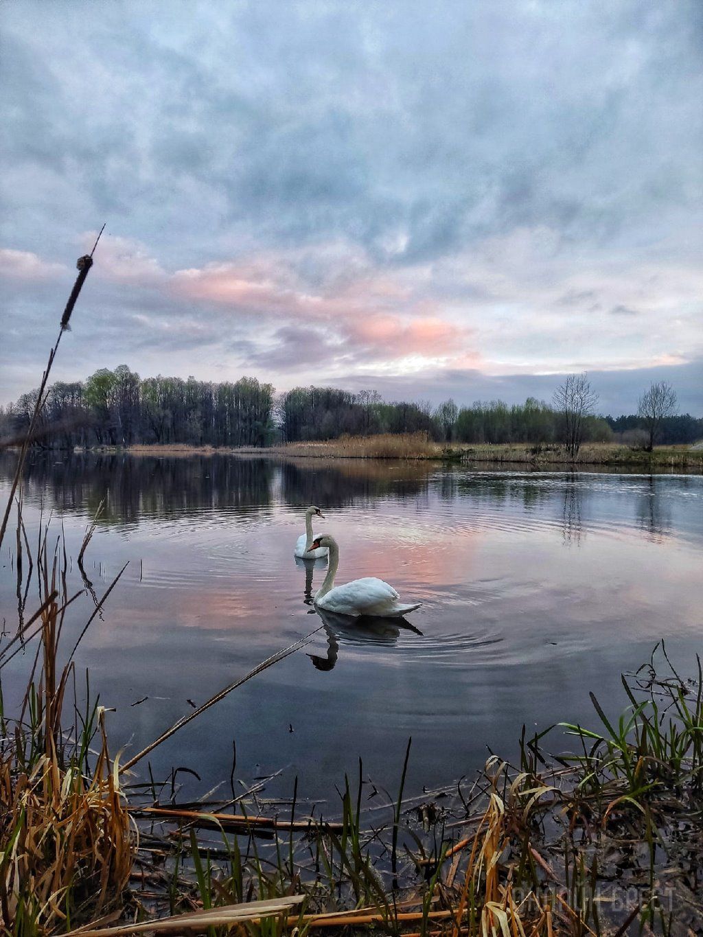 Читатель: Сегодняшнее утро в городе-спутнике Бреста (Жабинка). Красиво
