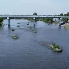 Десантники опубликовали видео контрольно-тактических занятий на реке Пина в Пинске
