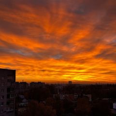Читательница: Вау! Посмотрите, какой огненный рассвет был сегодня в Бресте