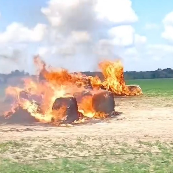 Читатель: д. Полятичи, Кобринский р-н.