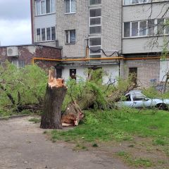 Зима забыла, что уже весна: смотрим на сегодняшний Брест