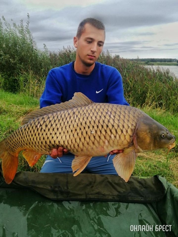 Улов читателя