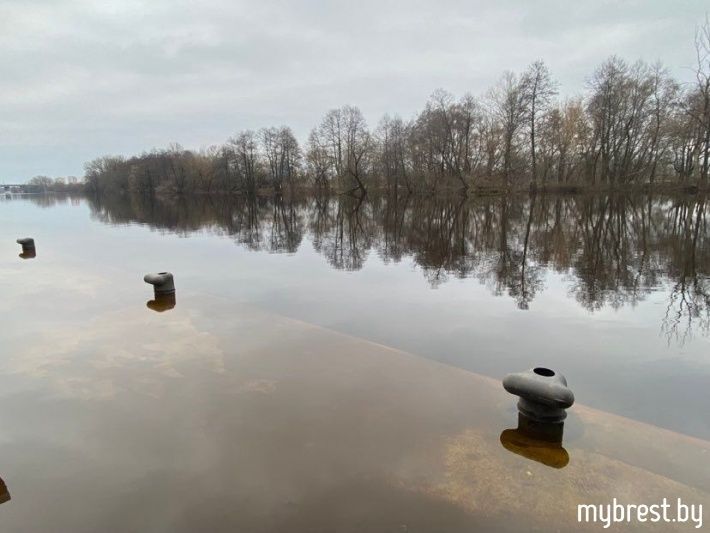 Скамейки в воде. Как выглядит Набережная в Бресте