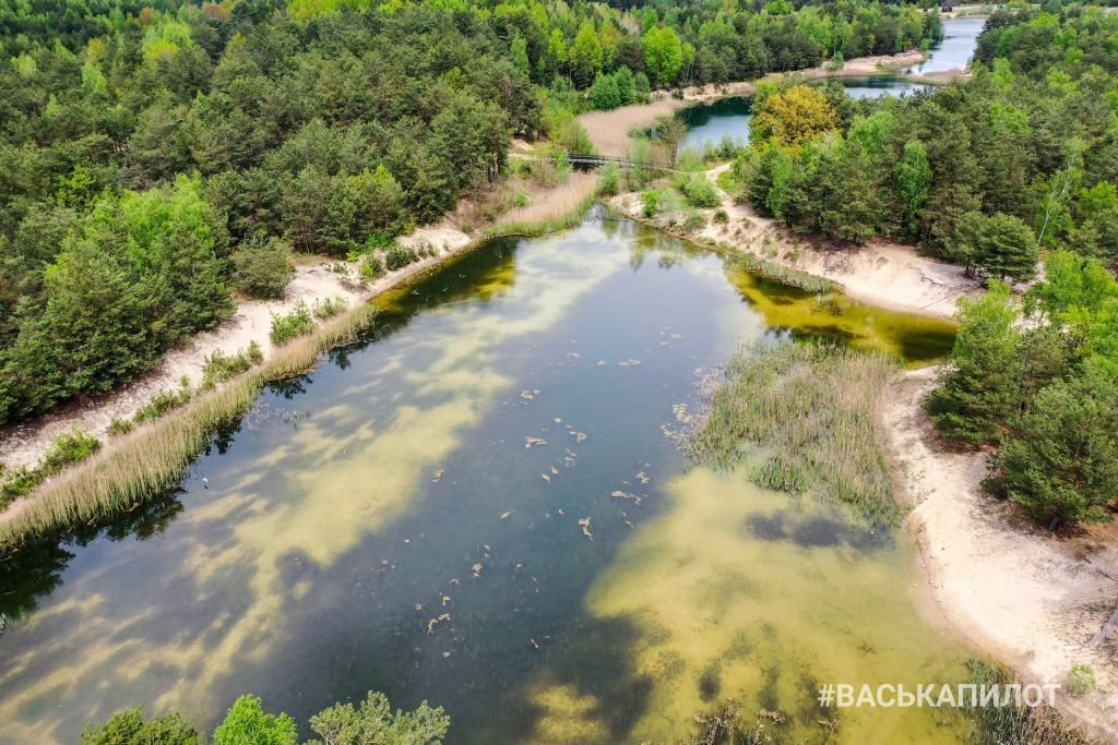 Природа возле Бреста