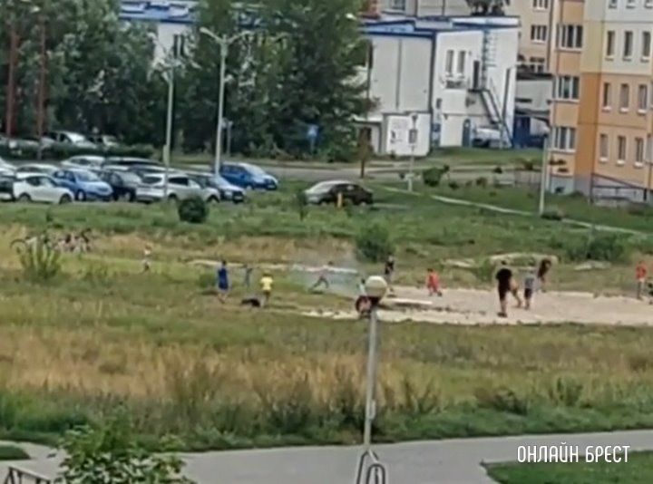 Читатель: Смотрится совсем небезопасно. Дети и петарды в Бресте на Рябиновой