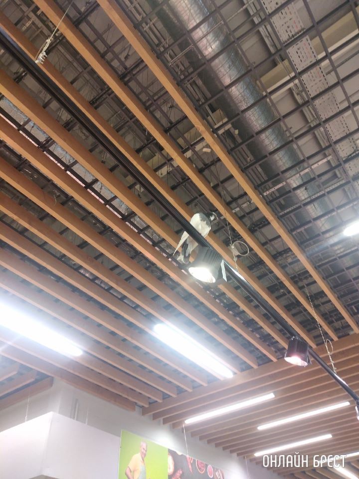 Голубь посетил Евроопт на Варшавском шоссе в Бресте :)