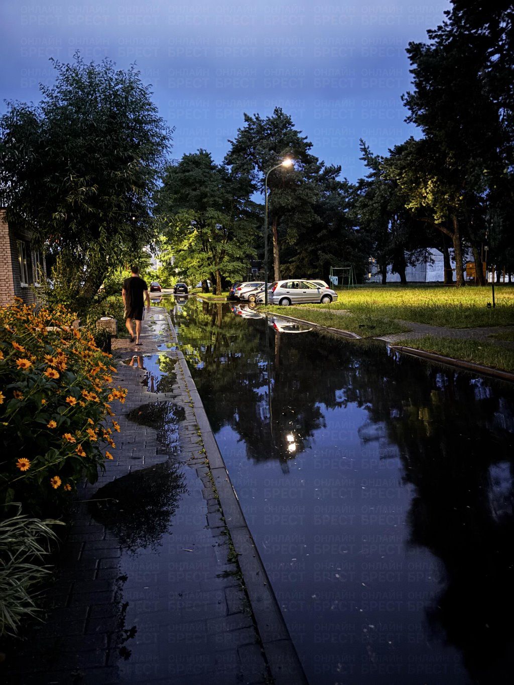 Читательница: После каждого дождя такая история — даже если он не сильный. Брест, ул. Жукова, 12.