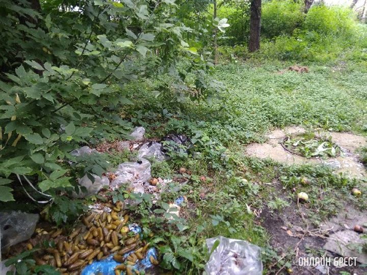 Вот так люди загрязняют наш город. Брест, ул. Гоголя