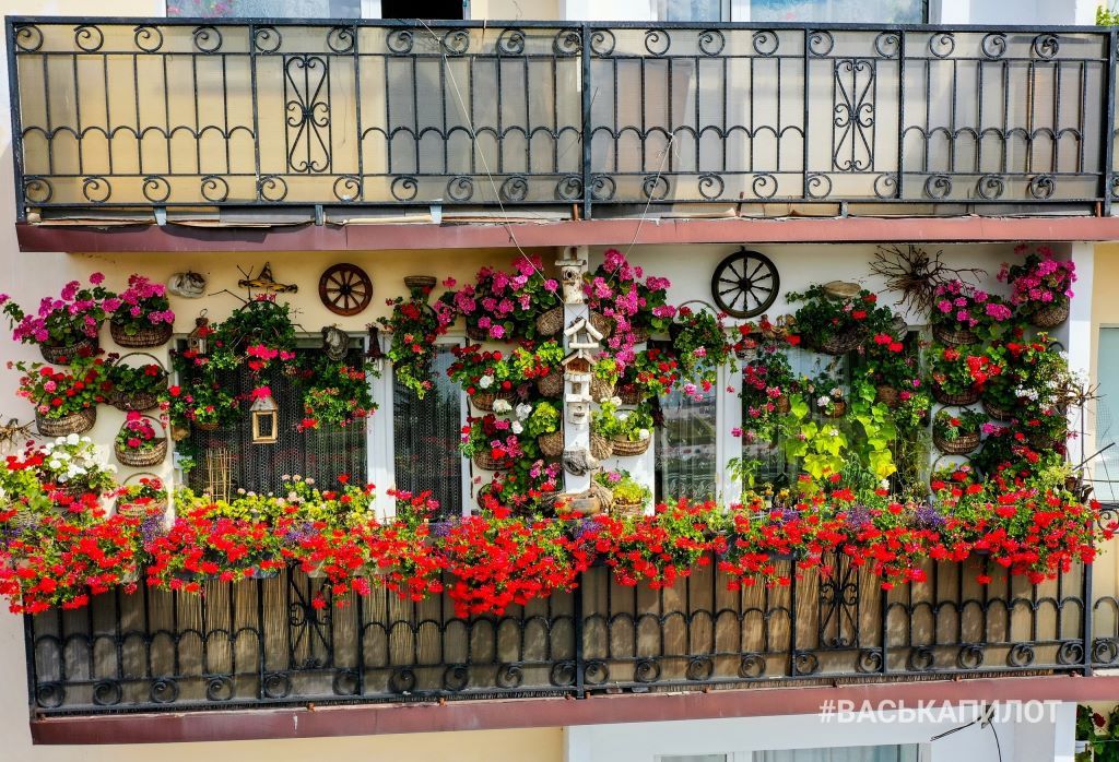 Самый цветущий балкон в Бресте?