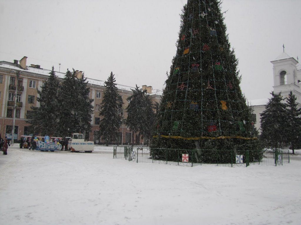 Главные ёлки Бреста в разные годы