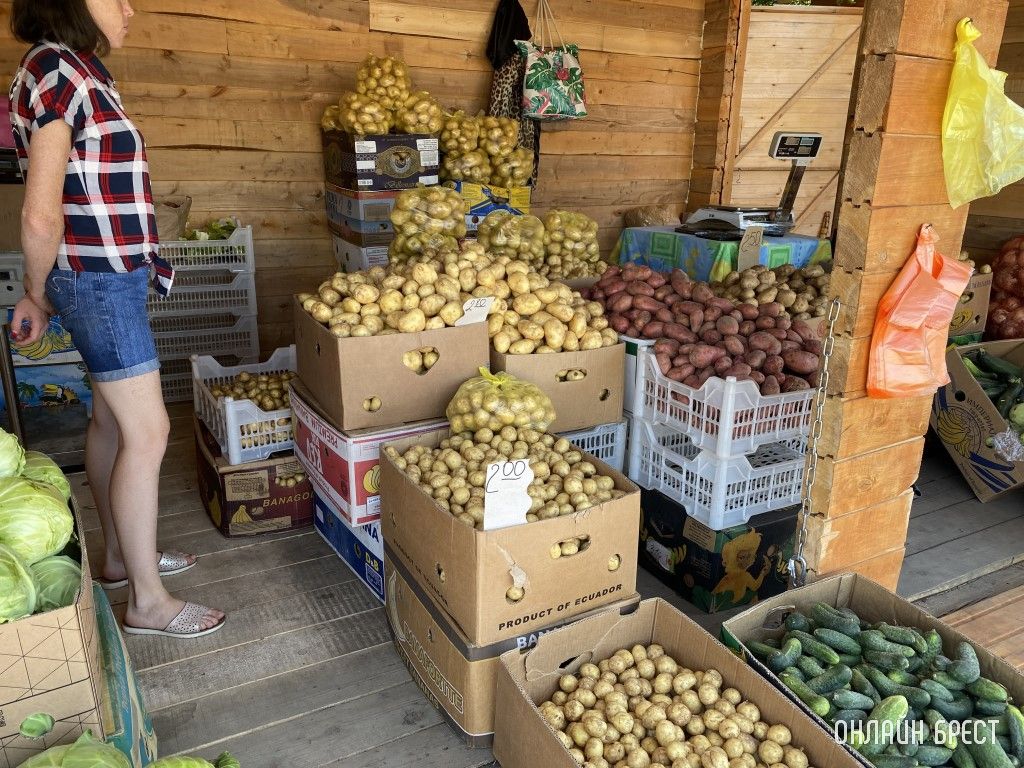 Что почем на рынке за ЦУМом в Бресте. Фоторепортаж