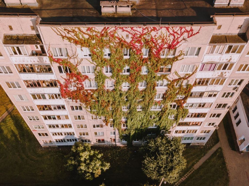 Виноградный дом в Минске