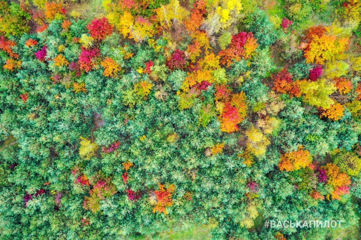 Посмотрите на осенний Брест с высоты