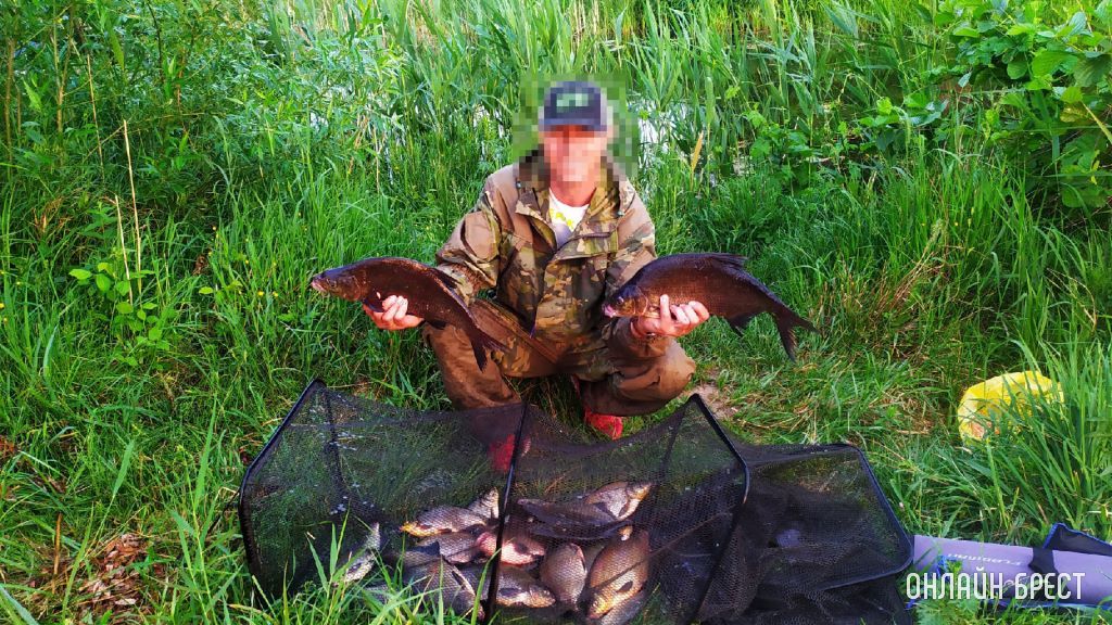 Улов жителя Бреста. Место рыбалки: река Мухавец