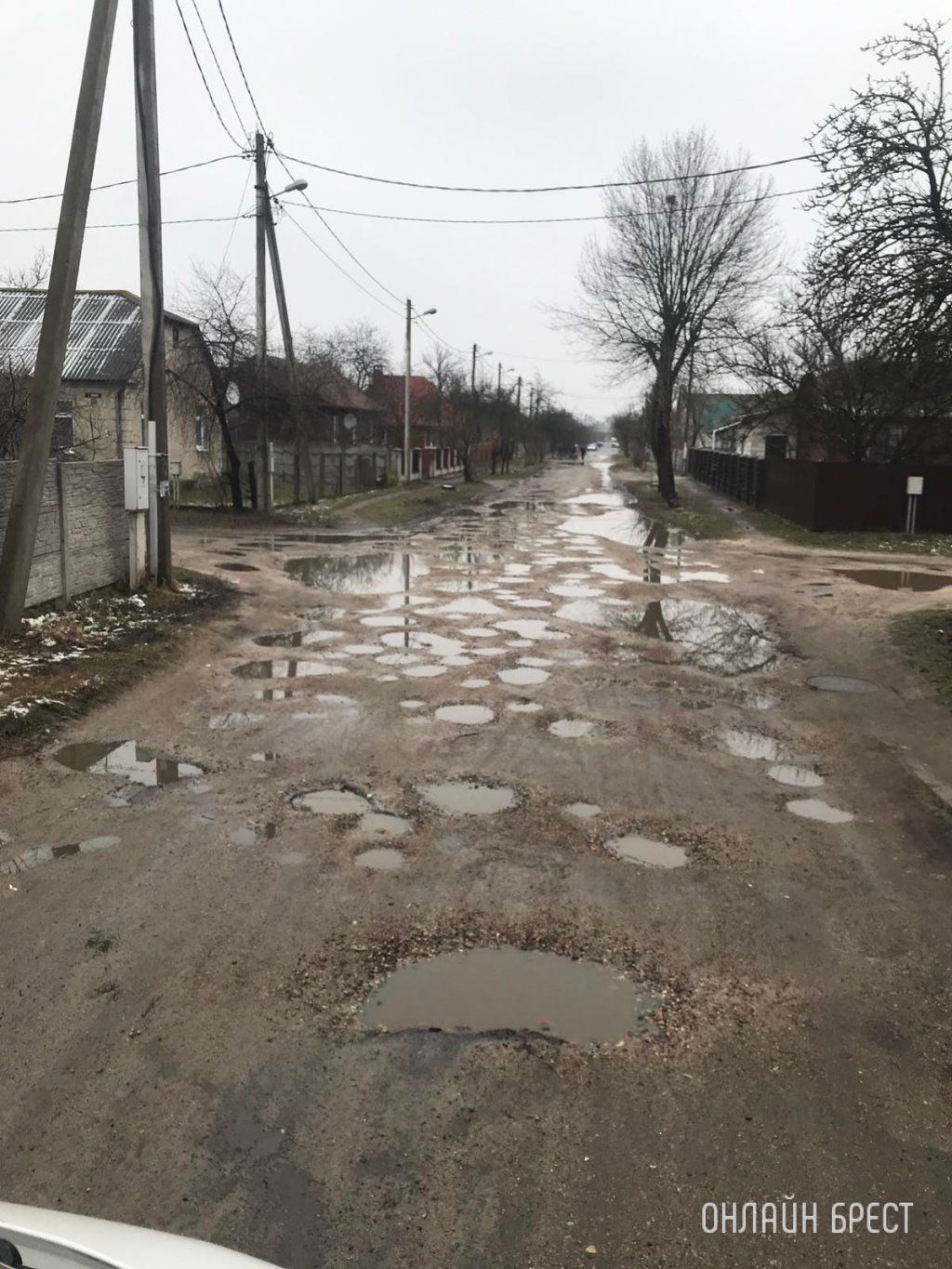 Читательница: Дорога по улице Загороднева