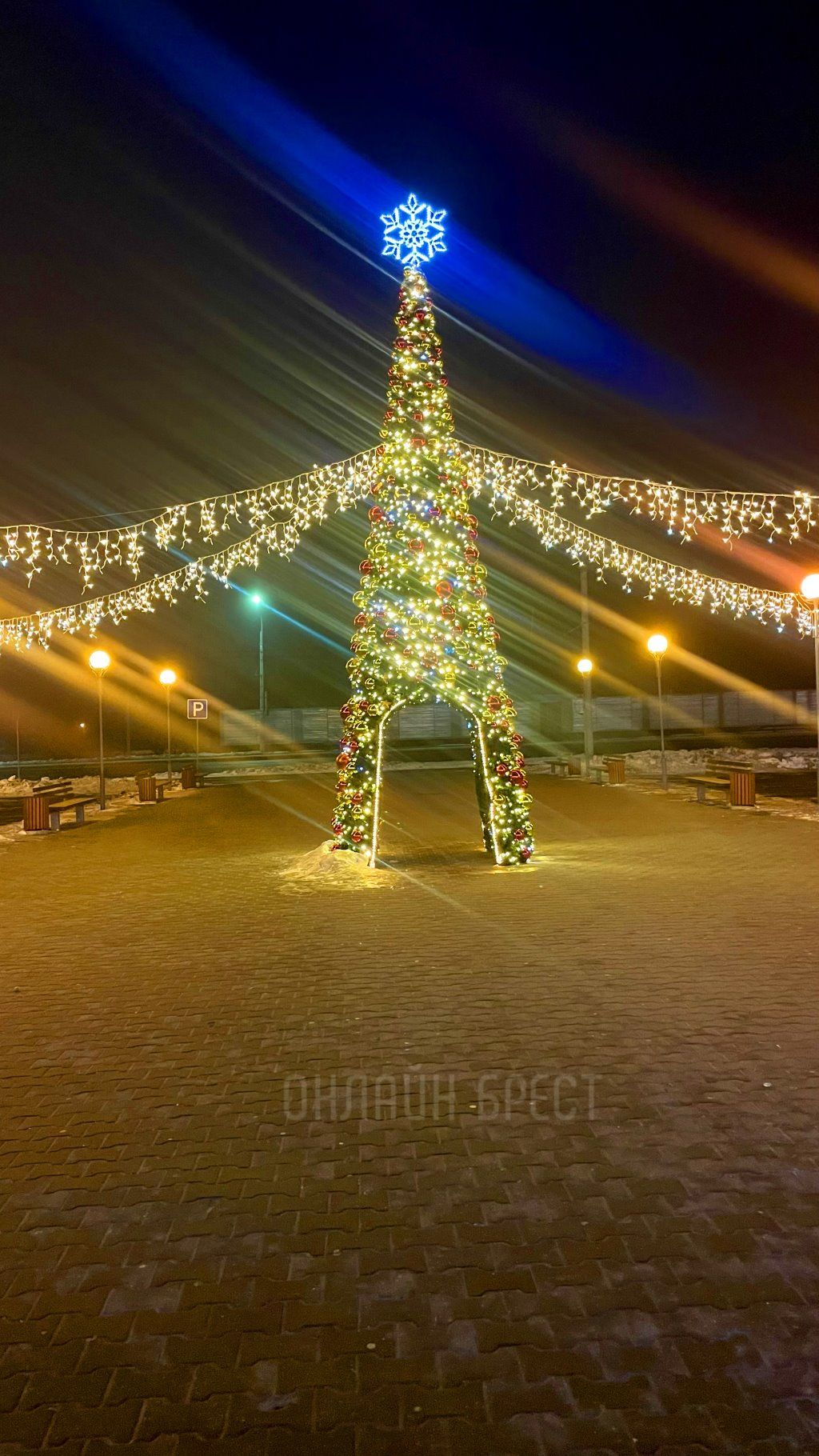 Ёлка возле Короны на Московской в Бресте. Смотрите фото