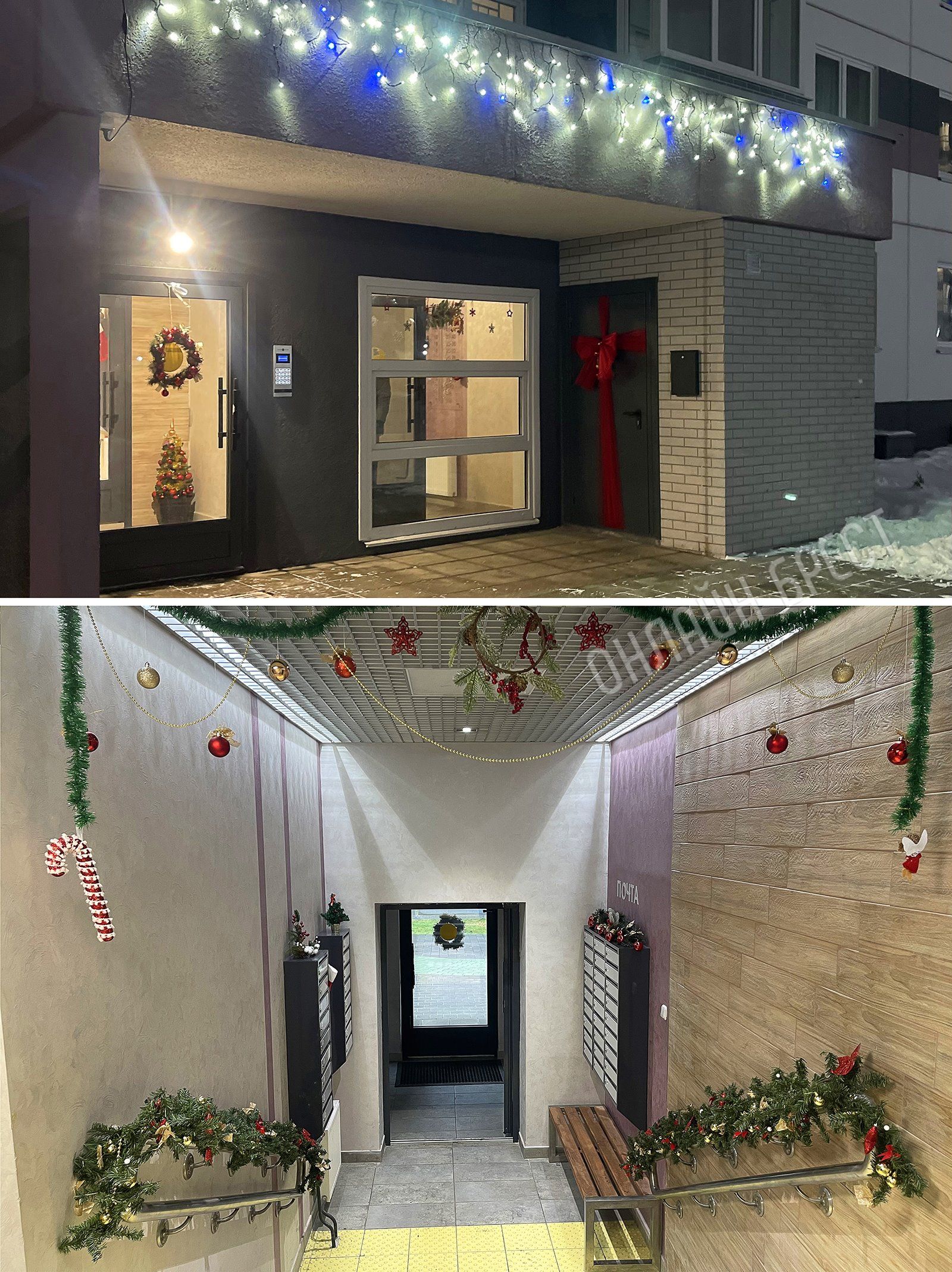 Читатель: Украшение подъезда на ул. ГОБК в Бресте