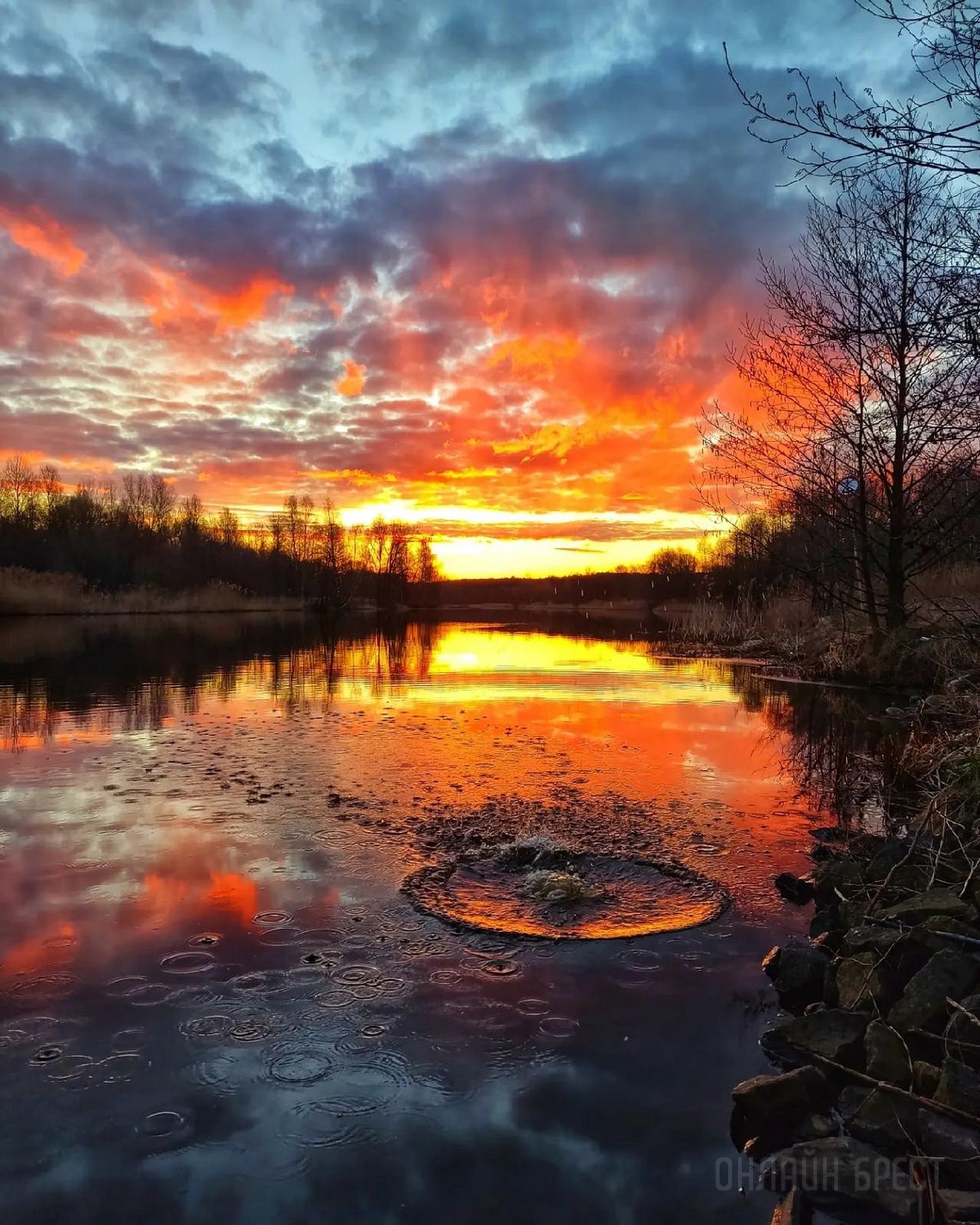 Читатель: Огненный рассвет. Фото сделаны сегодня в городе-спутнике Бреста