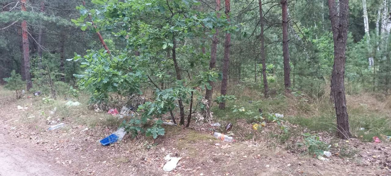 Как отдыхать не нужно. Красный двор. Лес. Правый берег озера