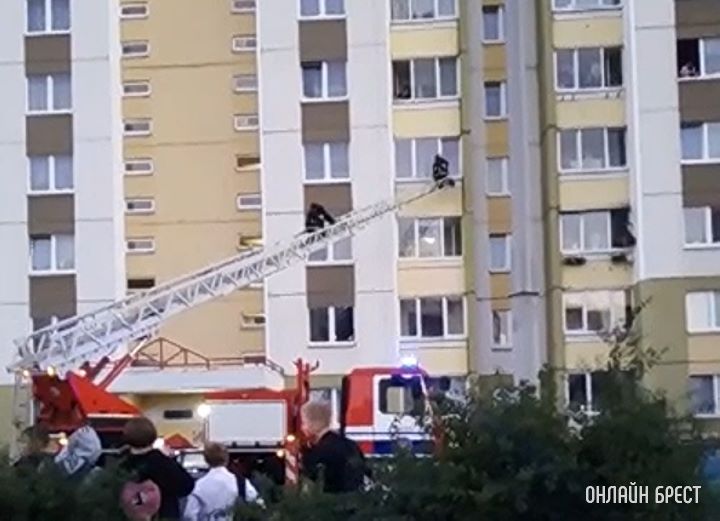 Брест, Пронягина, 56/2, сегодня вечером