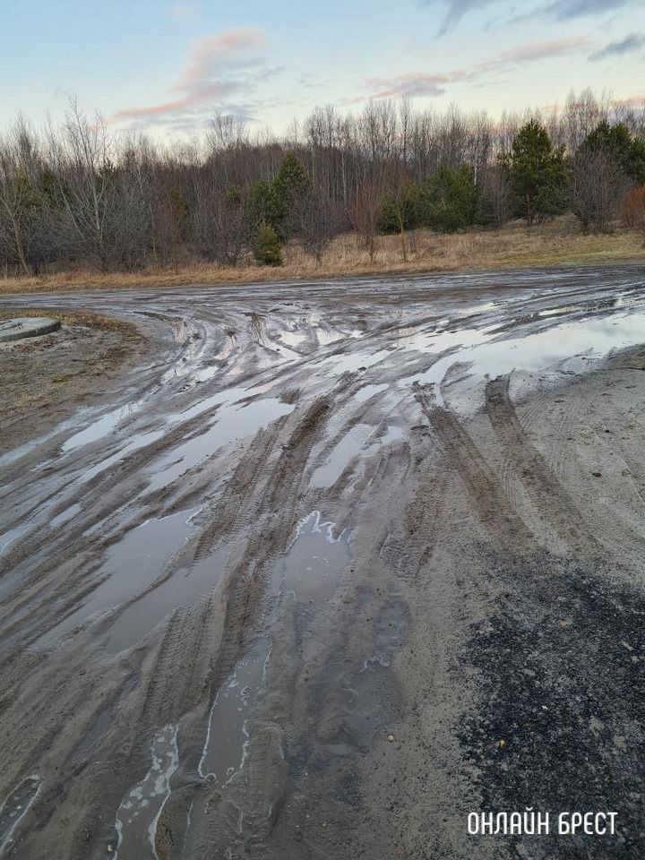 Читатель: Мы тонем в грязи