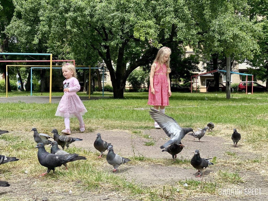 Дети и голуби. Дворы Бреста