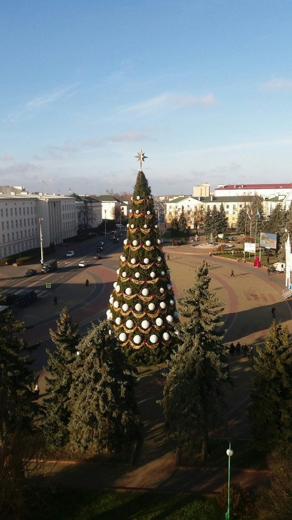 Главные ёлки Бреста в разные годы