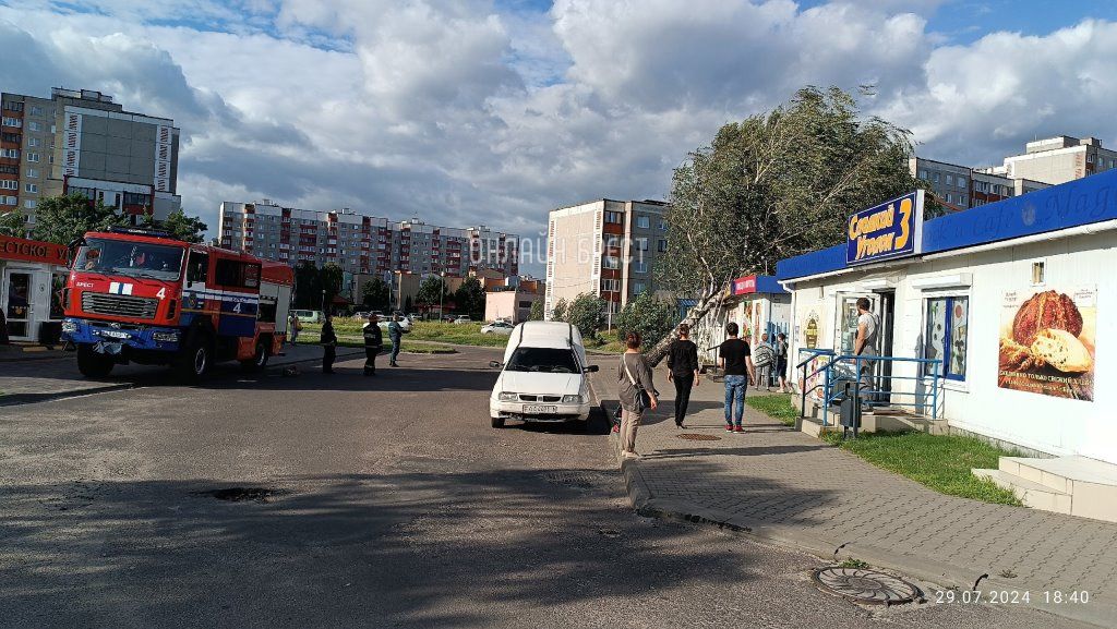 Читатель: В Бресте на Вульке дерево упало на павильон