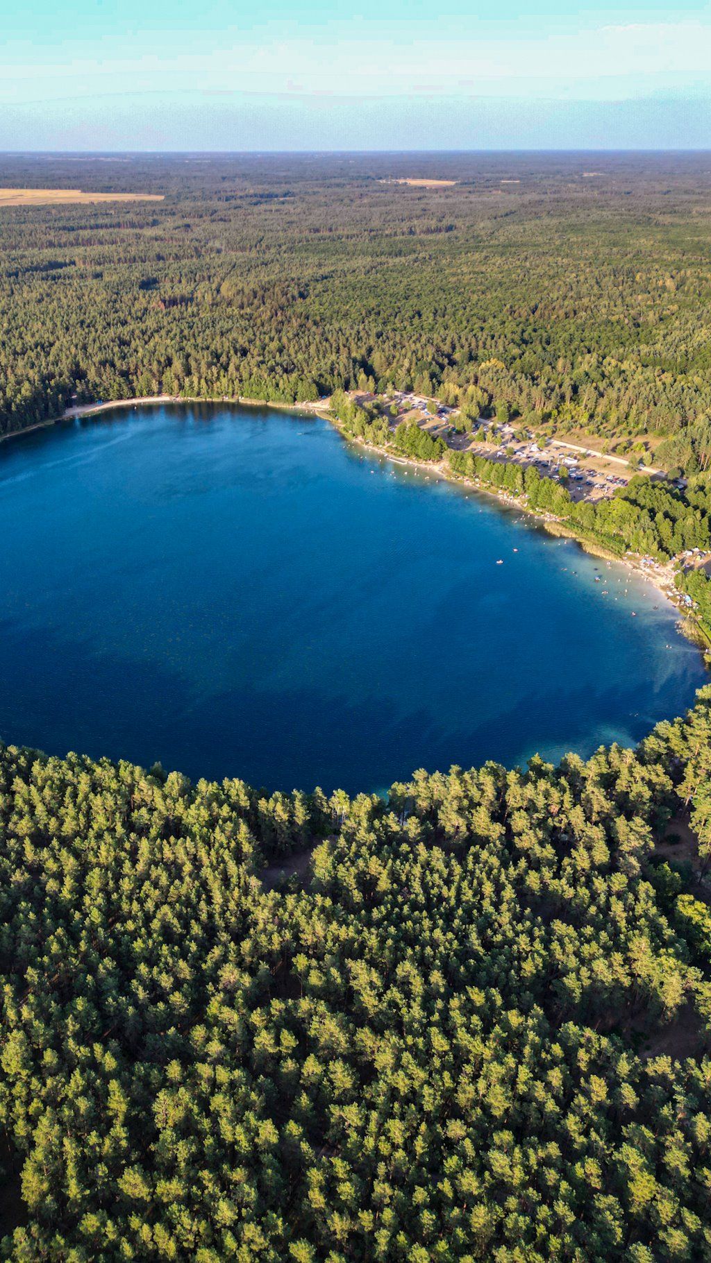 Белое озеро в Лунинецком районе. Фотографии сделаны сегодня