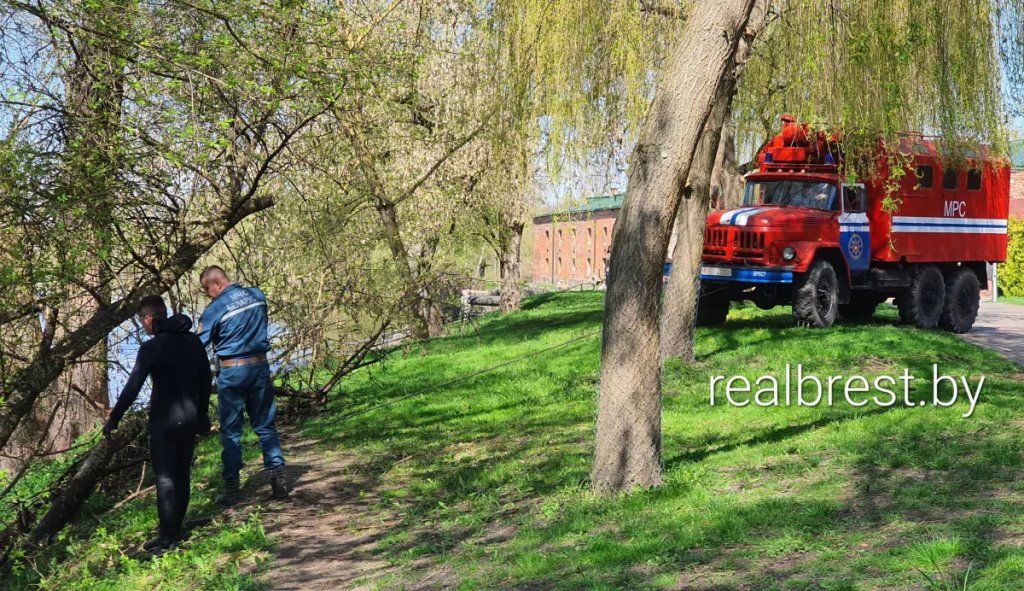 Красят танки и достают из воды деревья в Брестской крепости