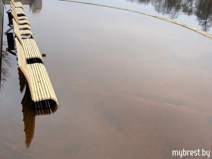Скамейки в воде. Как выглядит Набережная в Бресте