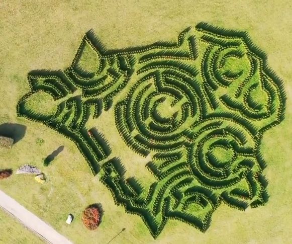 Читатель: Посмотрите, какой классный лабиринт есть в Минске