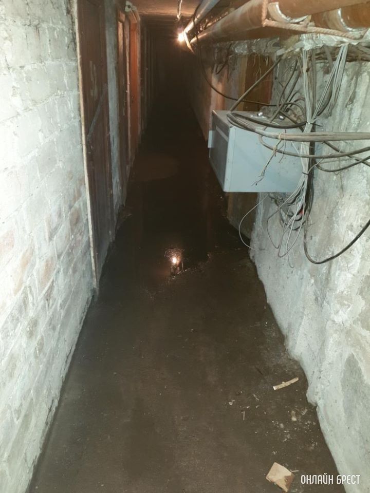 Брест, Скрипникова, 119. Подвал дома. Только воды сейчас еще больше