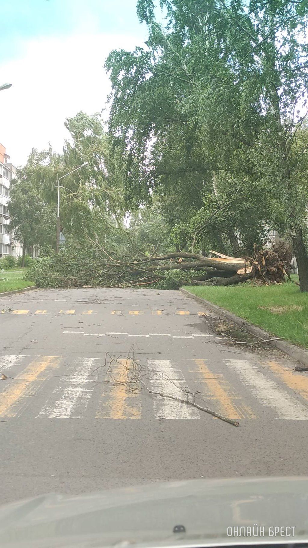 Сегодня в Пинске от непогоды пострадали машины