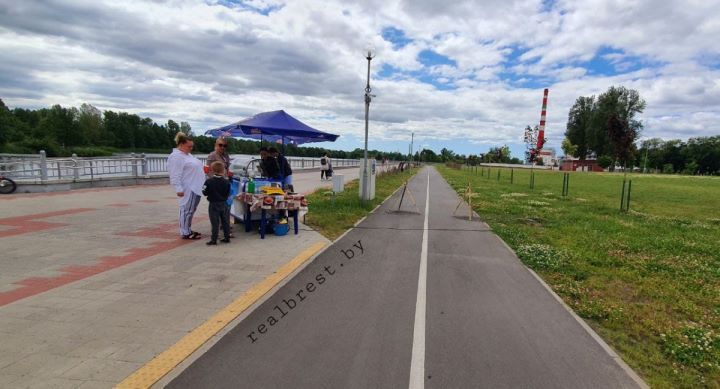 Реакция на публикацию в интернете с критикой ям на набережной в Бресте последовала