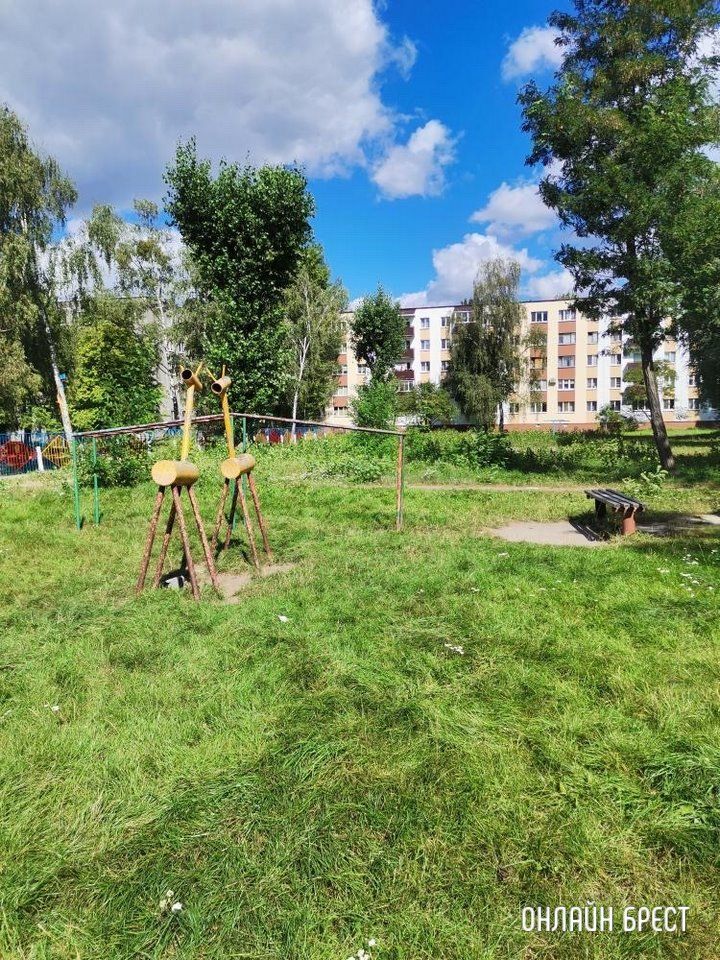 Читатель: Брест, ул. Янки Купалы, 12. Территория во дворе возле садика нуждается в покосе травы