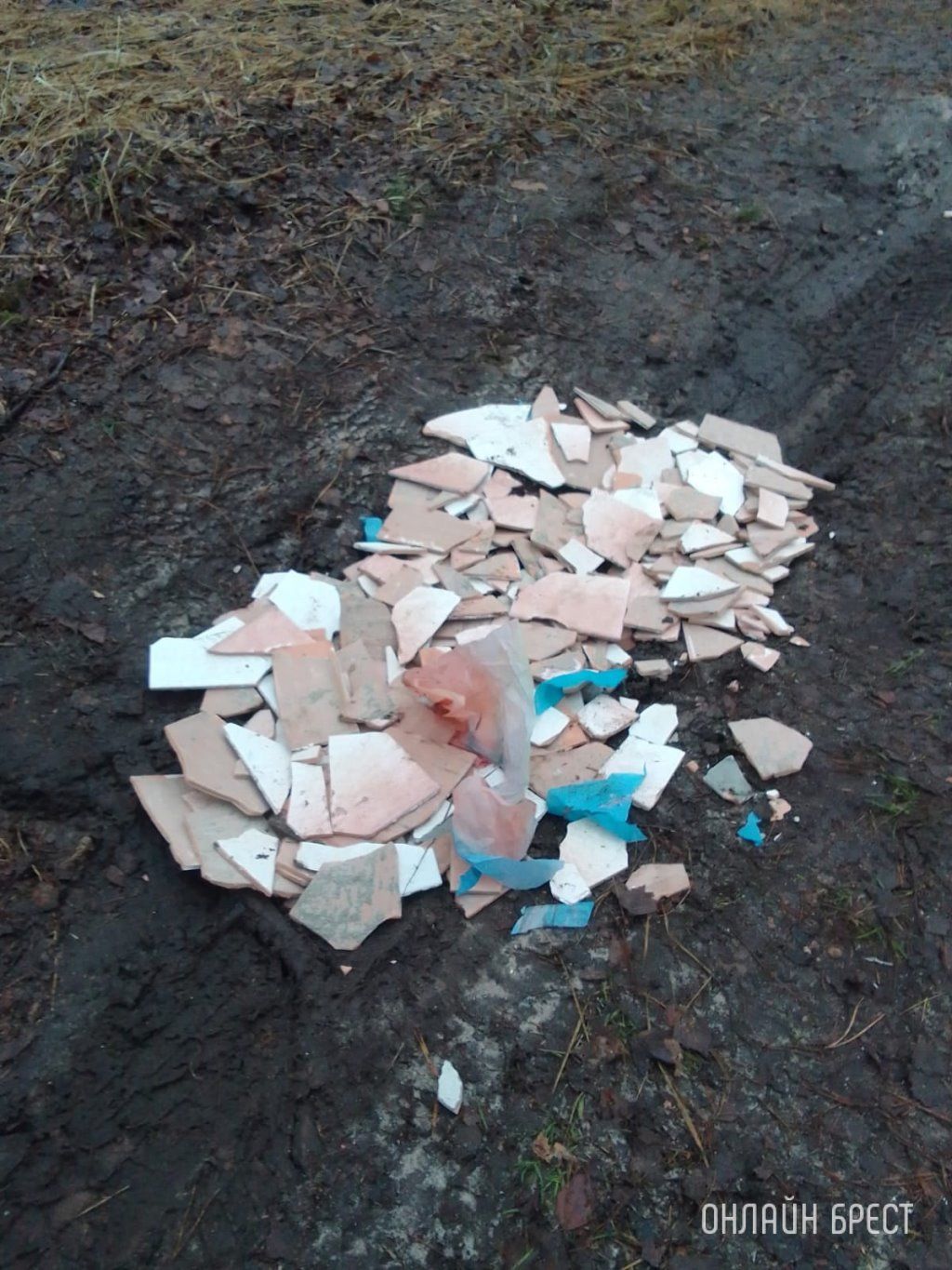 Читатель: Водитель автомобиля высыпал мусор на дорогу. Случай произошёл в лесу недалеко от населенного пункта Мухавец, Разве это нормально?