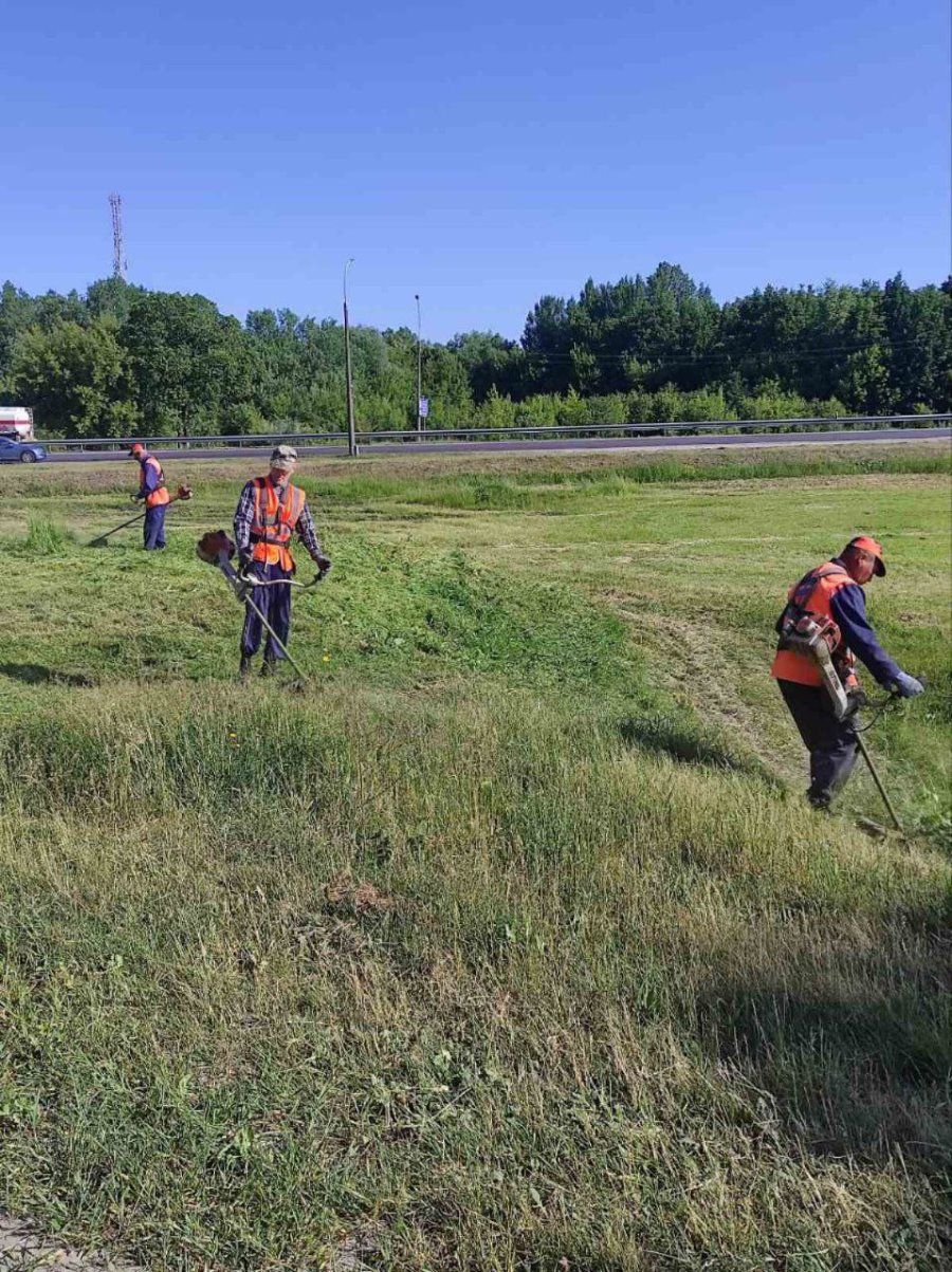 В Бресте продолжается покос травы. Где именно