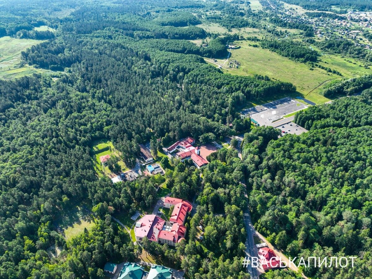 Беловежская пуща с высоты