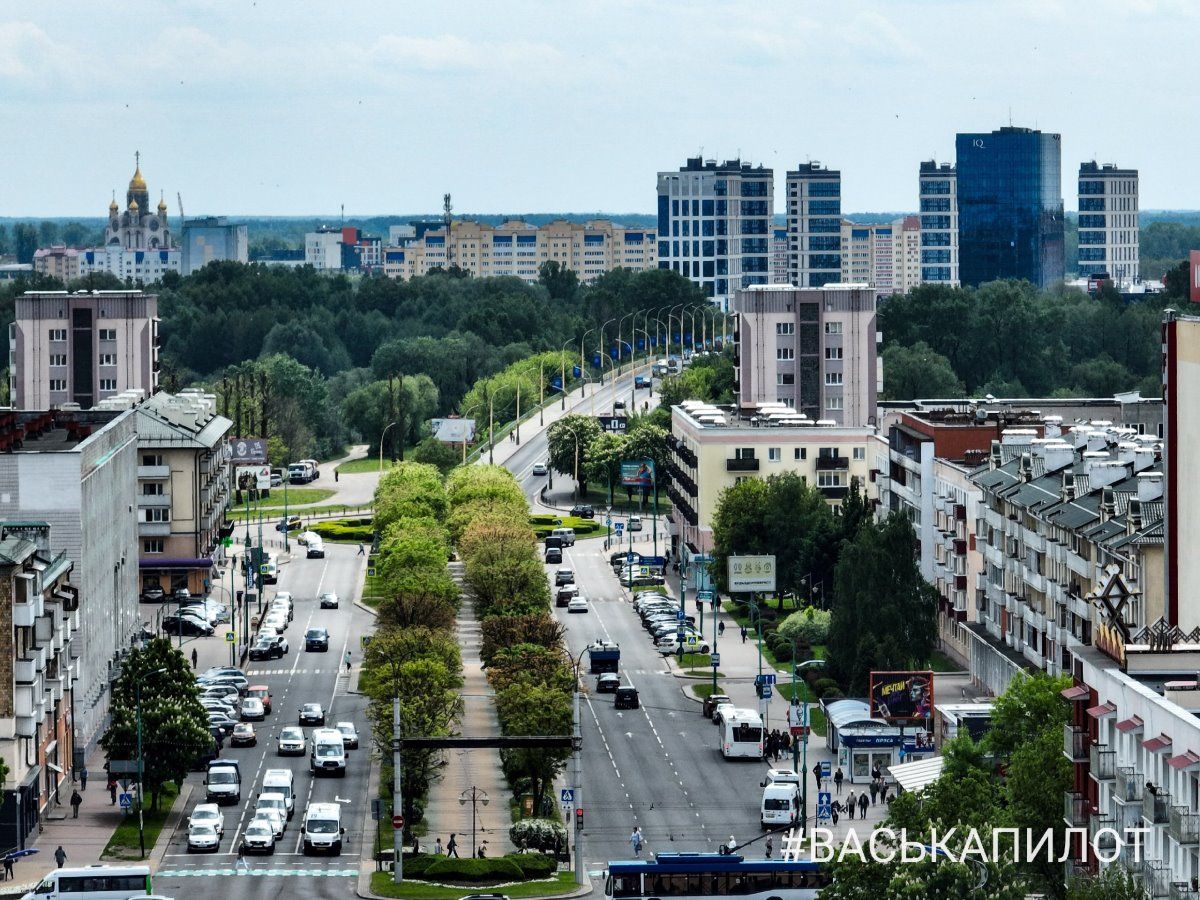 Посмотрите, как красиво цветут каштаны в Бресте