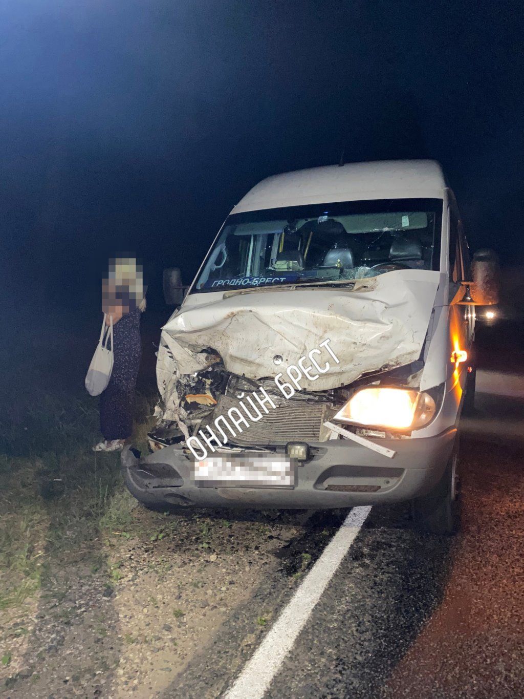 Читатель: Маршрутка Гродно — Брест сбила дикое животное