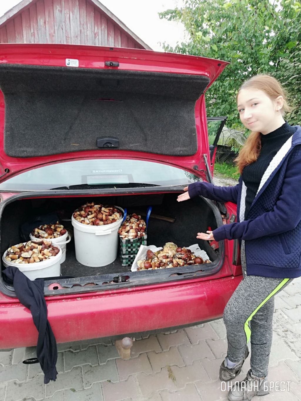 Грибная «охота» в Брестском районе