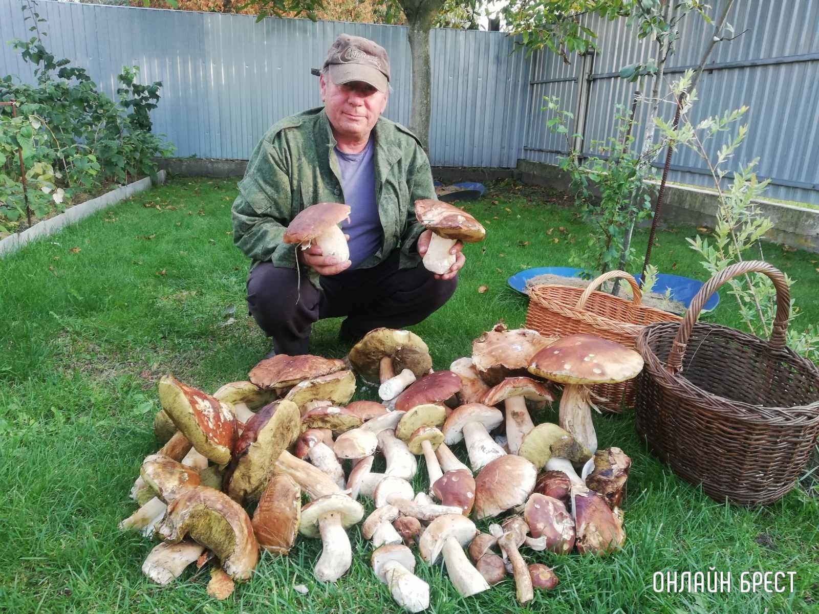 Читательница: Вот так мой дядя съездил на рыбалку. По пути встретилась ему полянка с такими красавцами