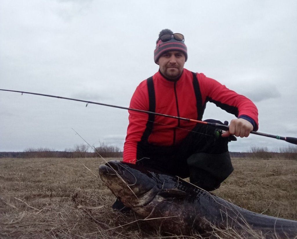 Белорус выловил на Березине гигантского сома