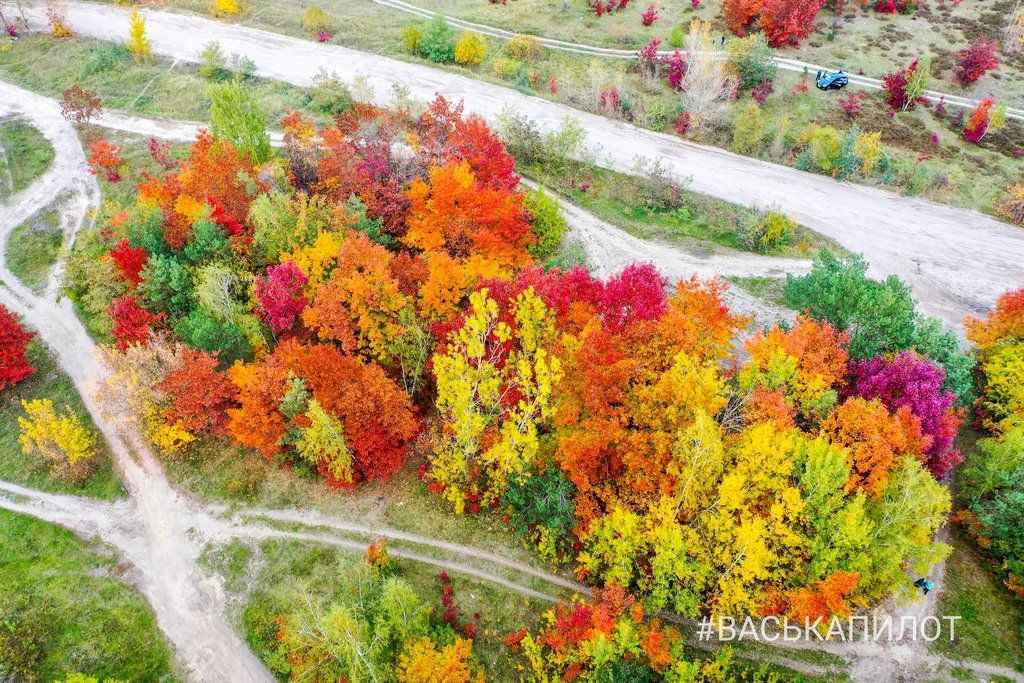 Краски осеннего Бреста