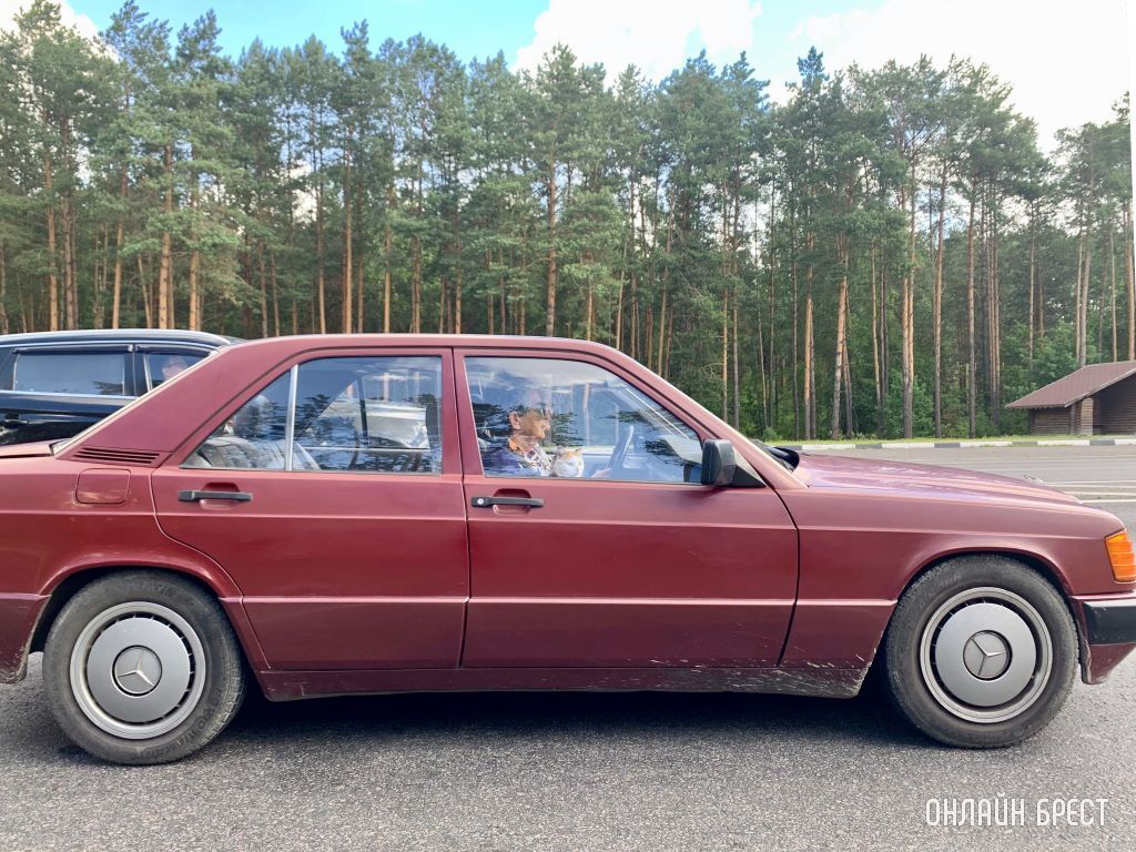 Эта встреча сделала мой день! Наверное, такой приятной компанией направлялись на дачу