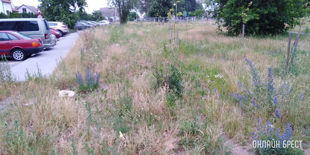 Прошу помощи в обращении внимания на небольшой, по меркам города