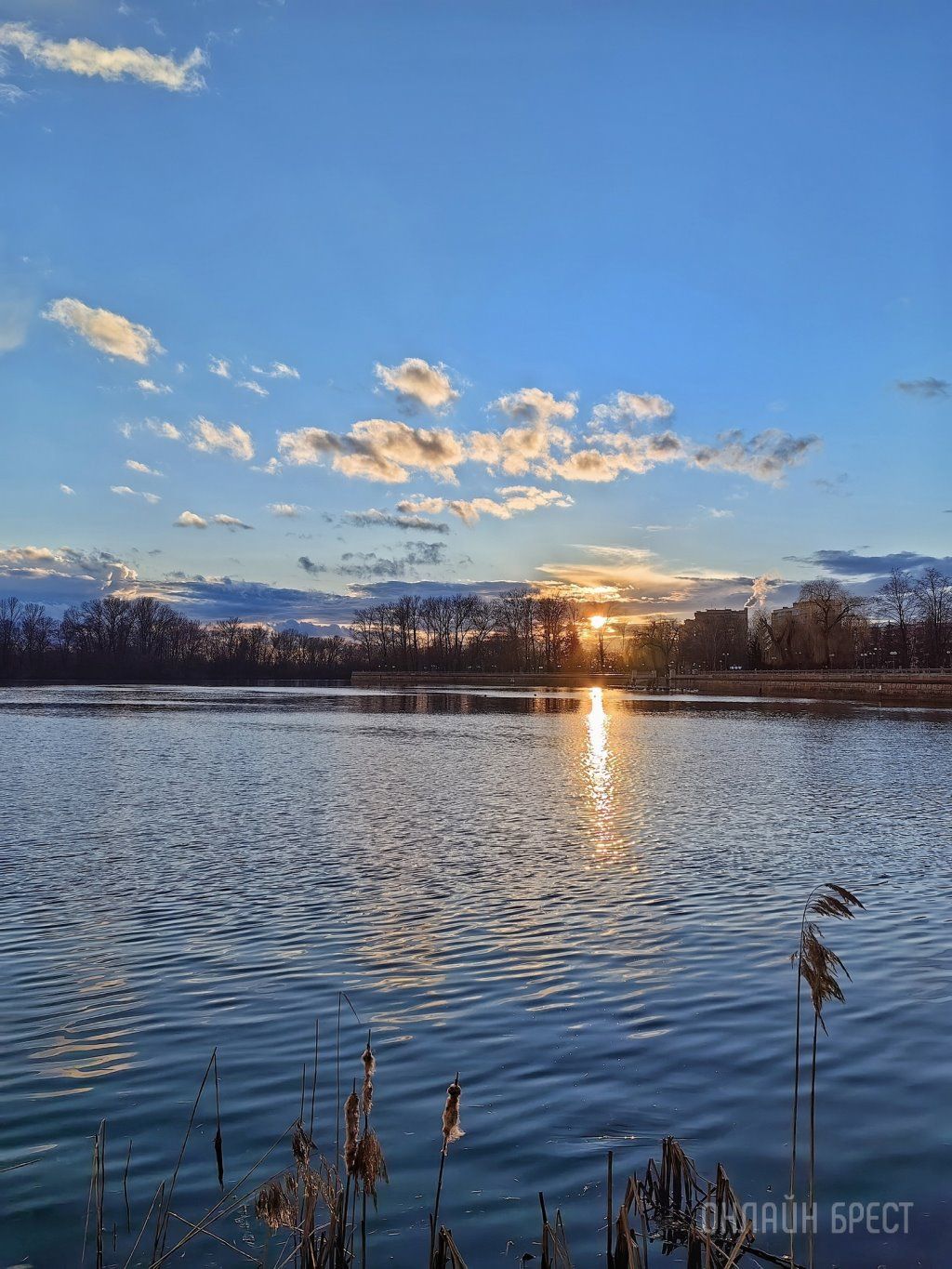Читатель: Сегодняшний Брест после весеннего дождя