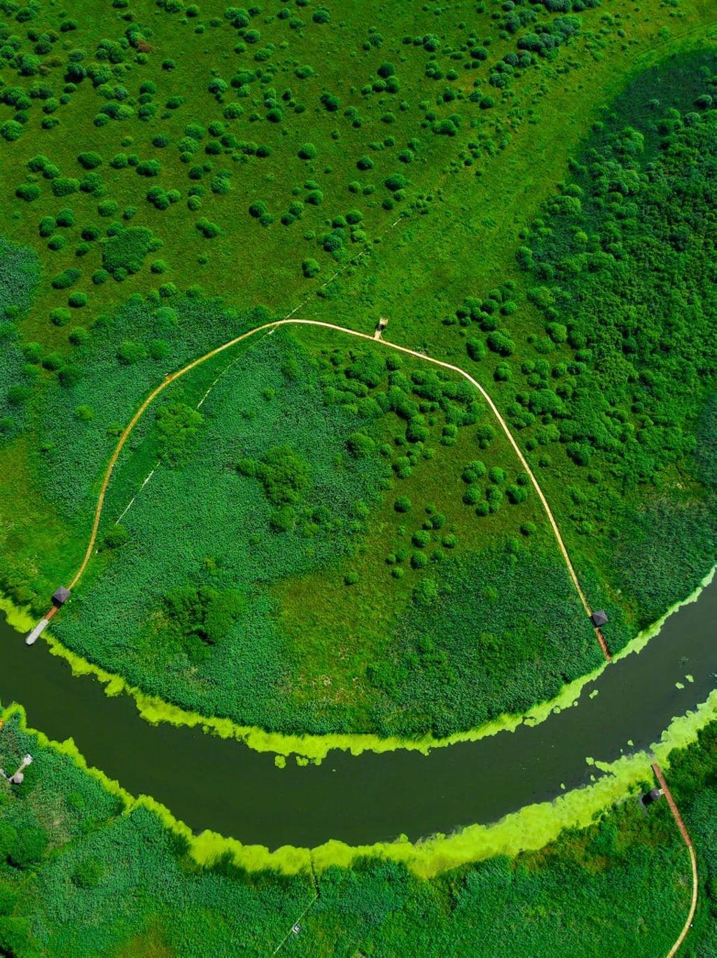 Экотропа в биологическом заказнике «Споровский» с двумя паромными переправами через реку Ясельда. Протяженность тропы 1,5 км