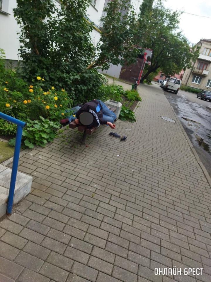 Каждый день, на каждой лавочке наблюдаем такую картину